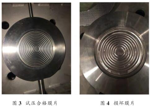 ԇ���ϸ�ĤƬ�͓p��ĤƬ