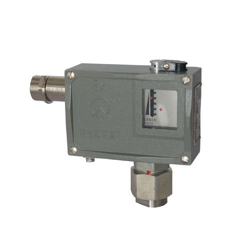  501/7D���������_(k��i)�P(gu��n) 