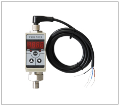 ���܉���������